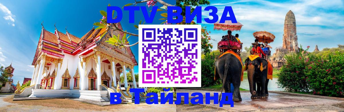 Сколько стоит DTV виза — актуальные цены, оформление даже без документов - Санкт-Петербург  19.11.2025 